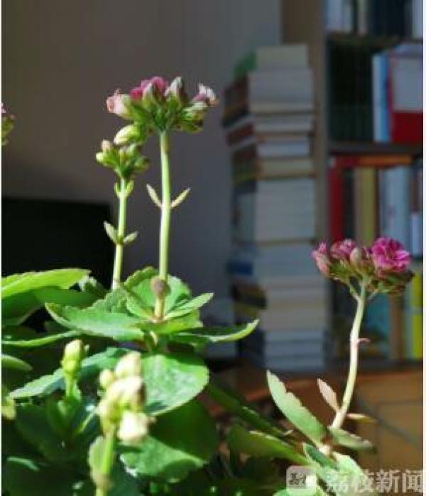 非常时期，如何过好“慢”生活？专家5招送上