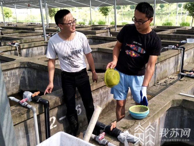 三下■校企农深度融合，大学生“三下乡”汇聚乡村振兴合力