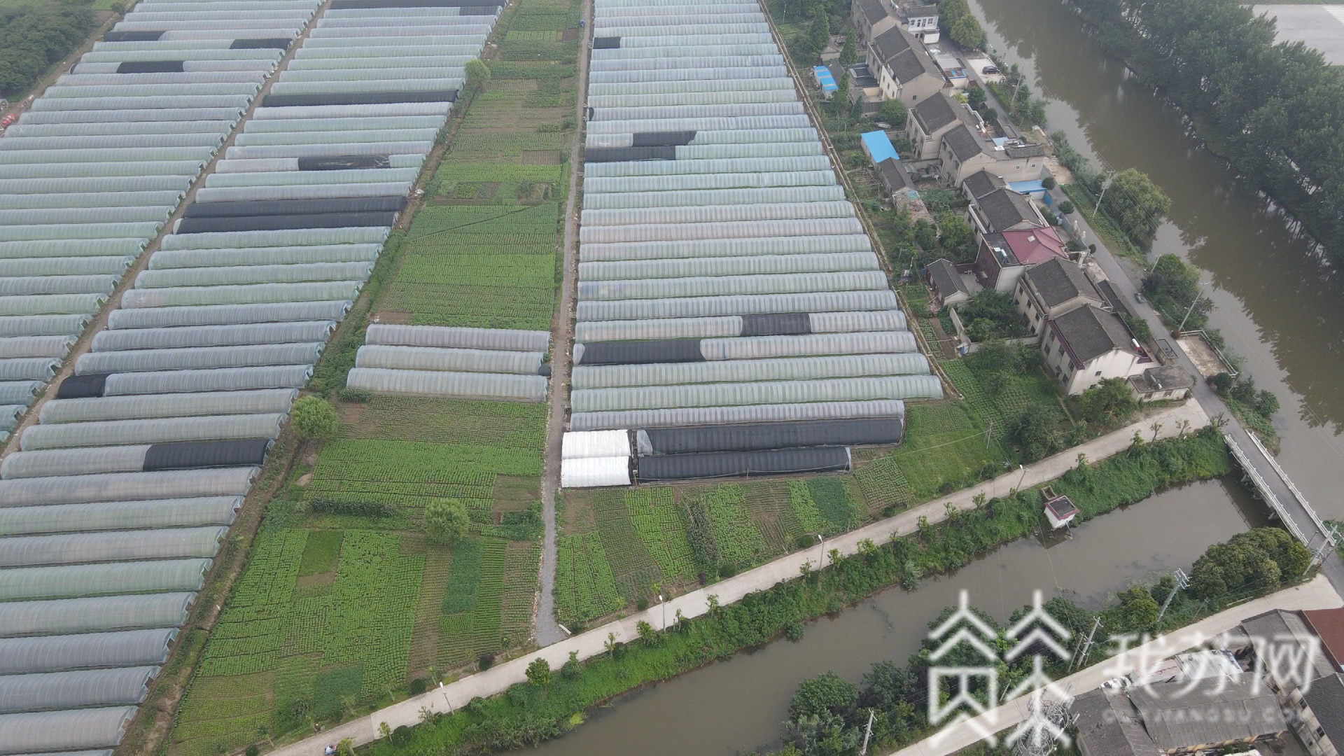 『垃圾』难怪两位小哥哥弃白领工作去养虫！ 这种虫一吨能吃五吨垃圾