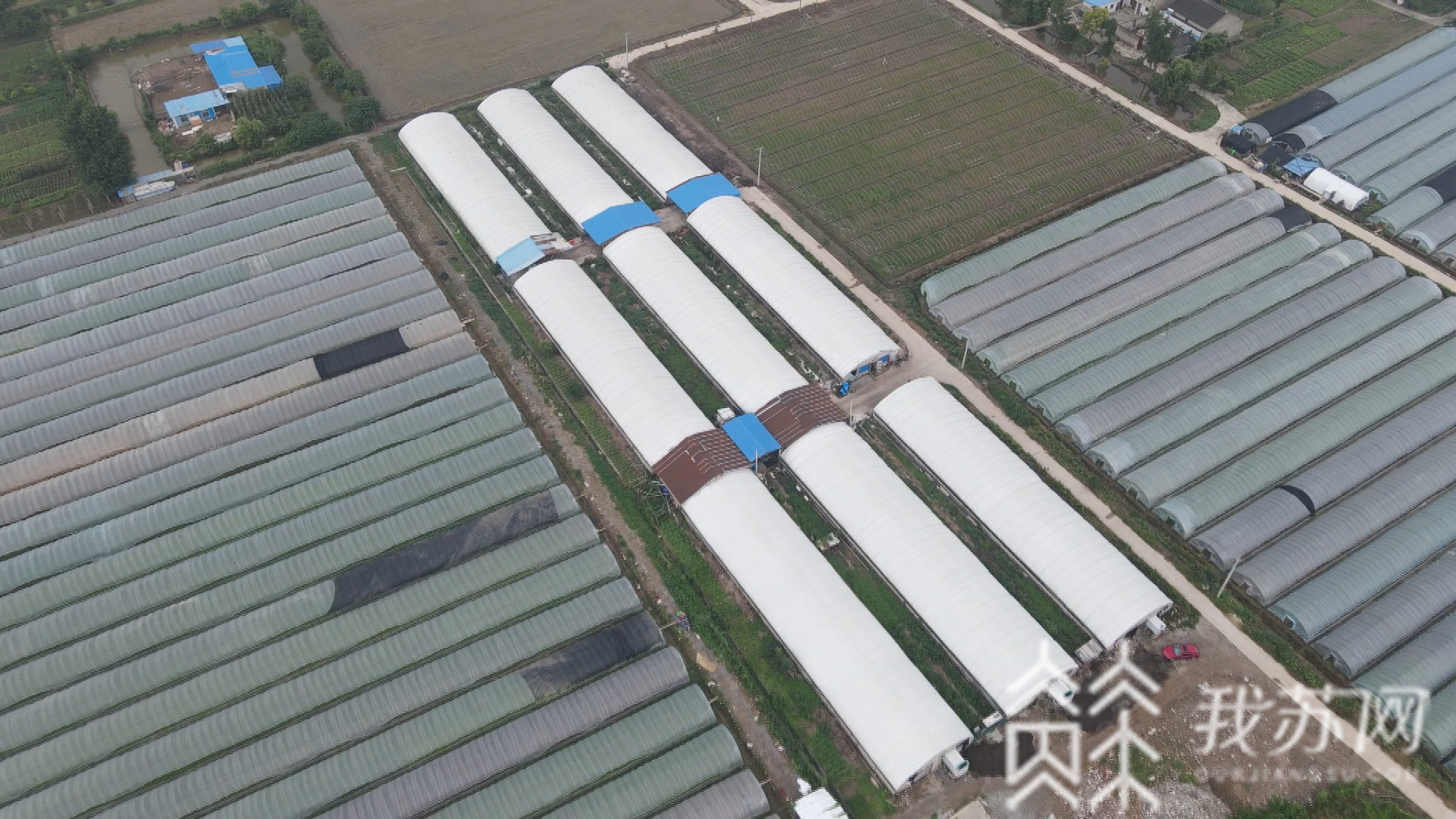 『垃圾』难怪两位小哥哥弃白领工作去养虫！ 这种虫一吨能吃五吨垃圾