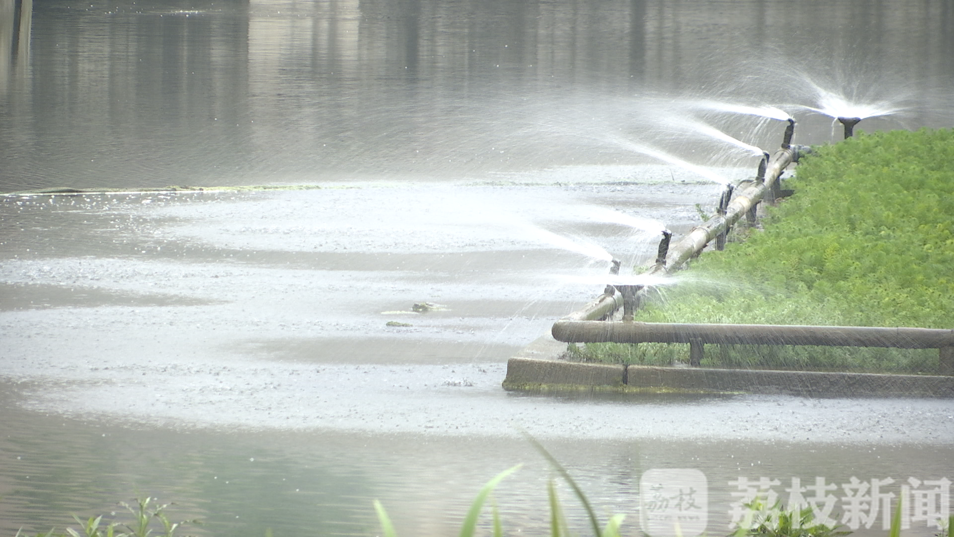 尾巴■六五环境日：秃尾巴河整治效果显现