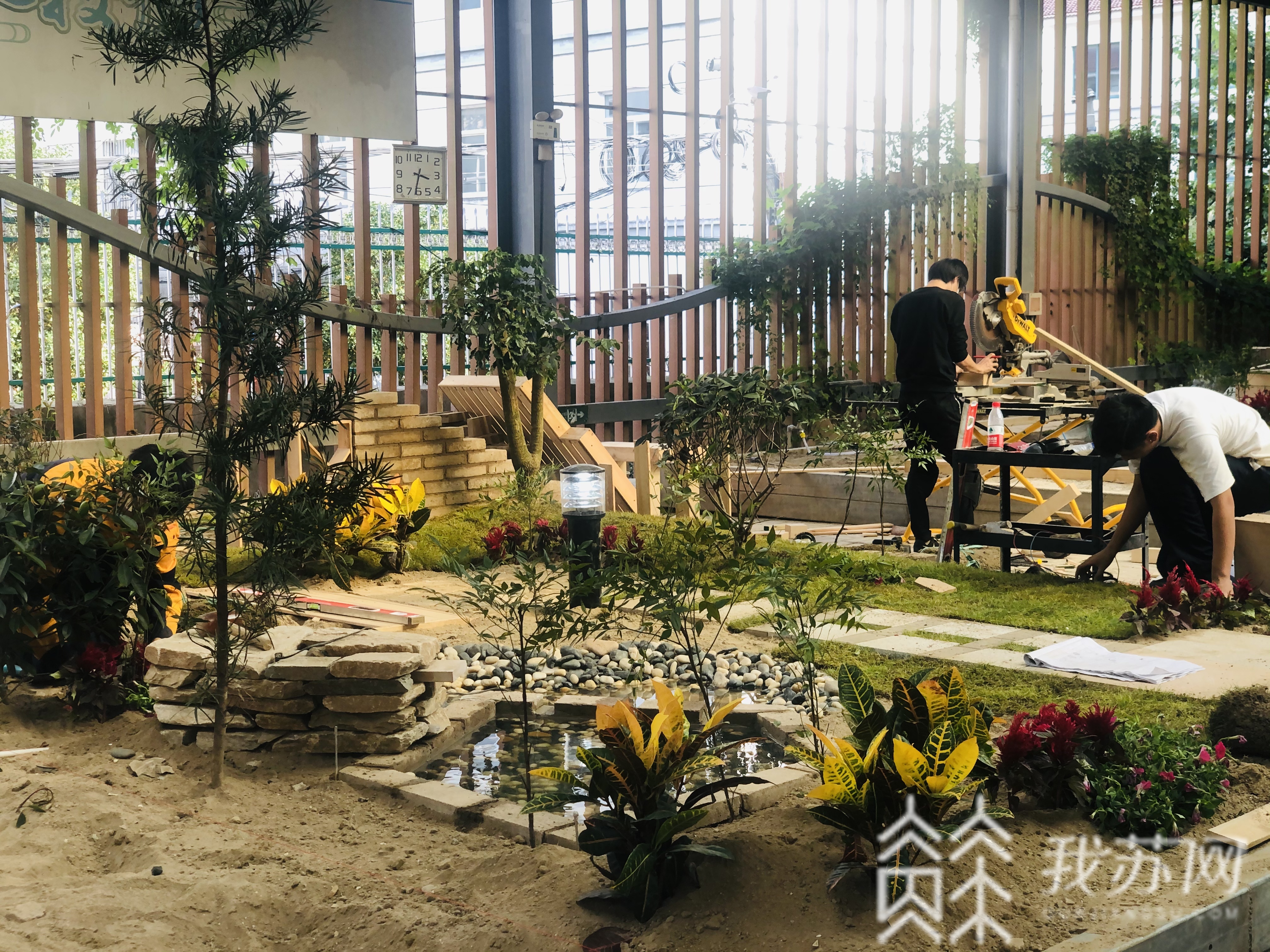 『园林』这群年轻人10.5个小时打造20平米园林 误差控制在毫米之内