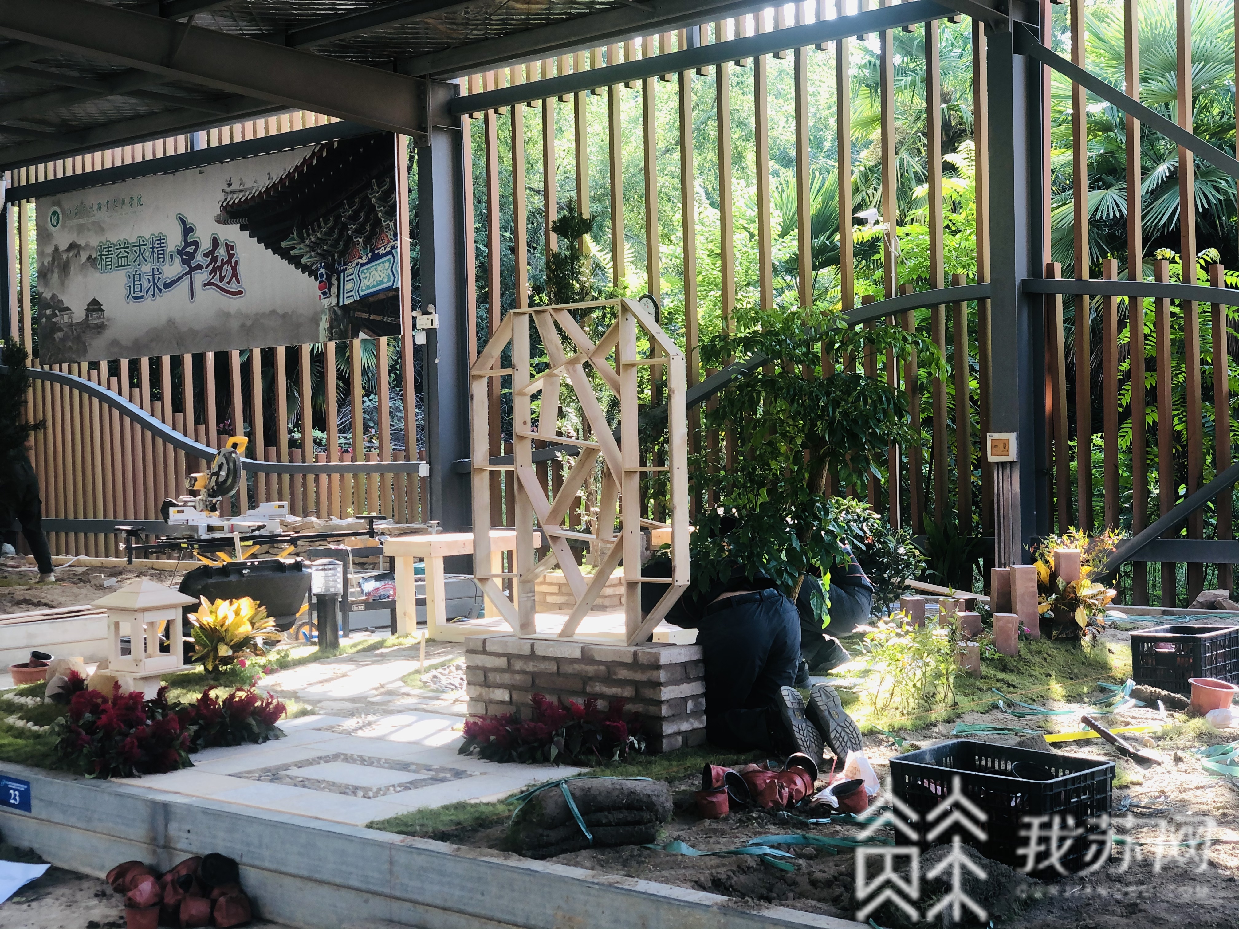 『园林』这群年轻人10.5个小时打造20平米园林 误差控制在毫米之内