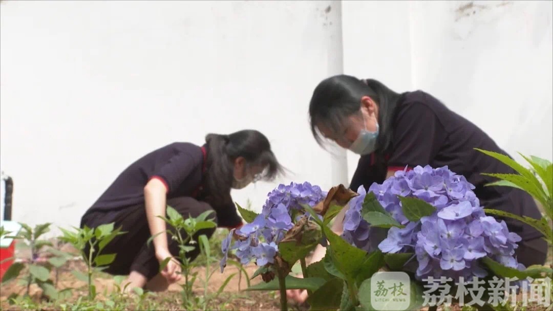 学校■“灵魂画手”老师再出新作！这“一亩三分地”变成了学校师生的快乐源泉