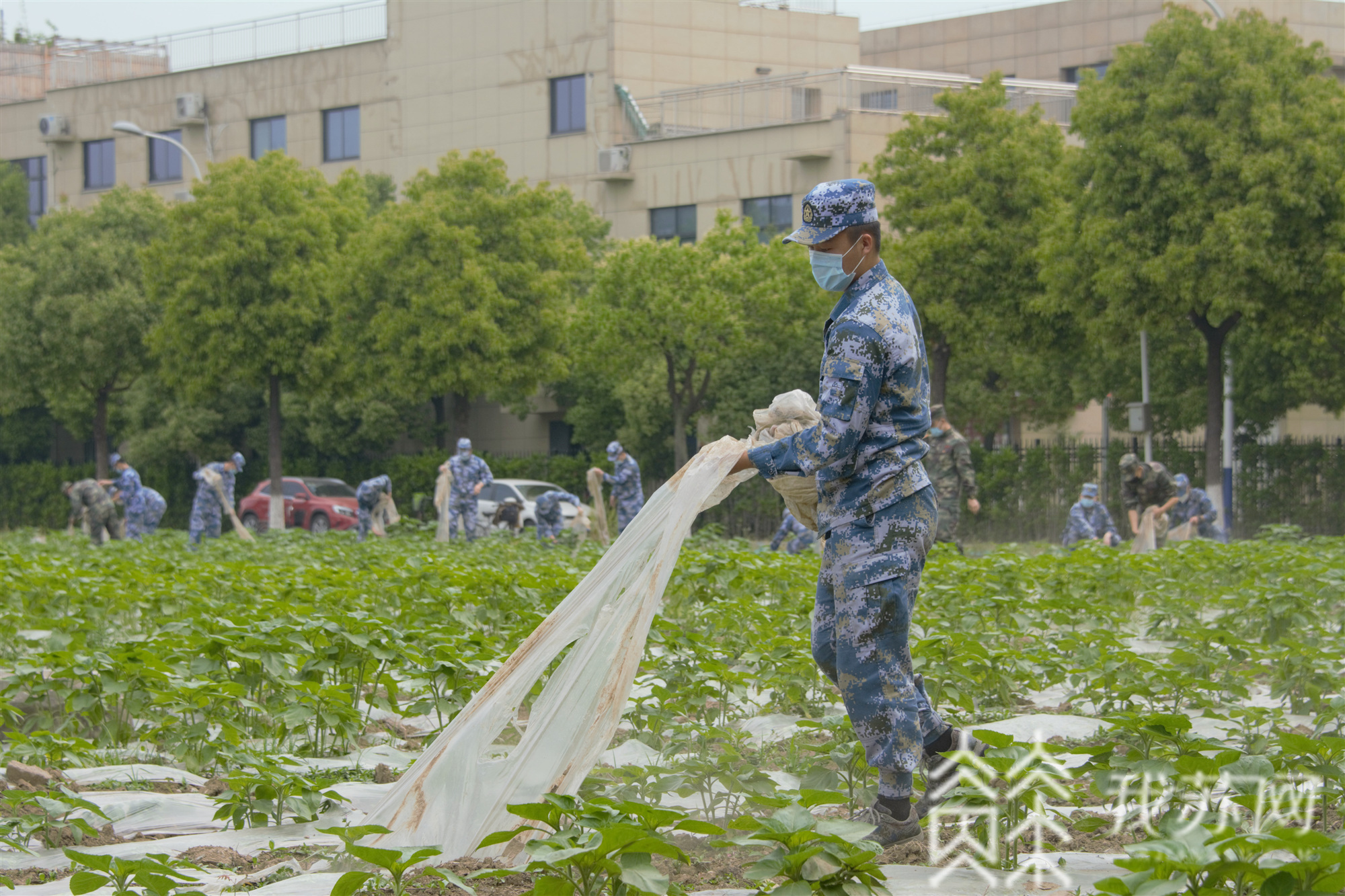 劳动教育■高职院校的劳动教育与职业教育如何相融合？来看这个研讨会擦出了什么火花