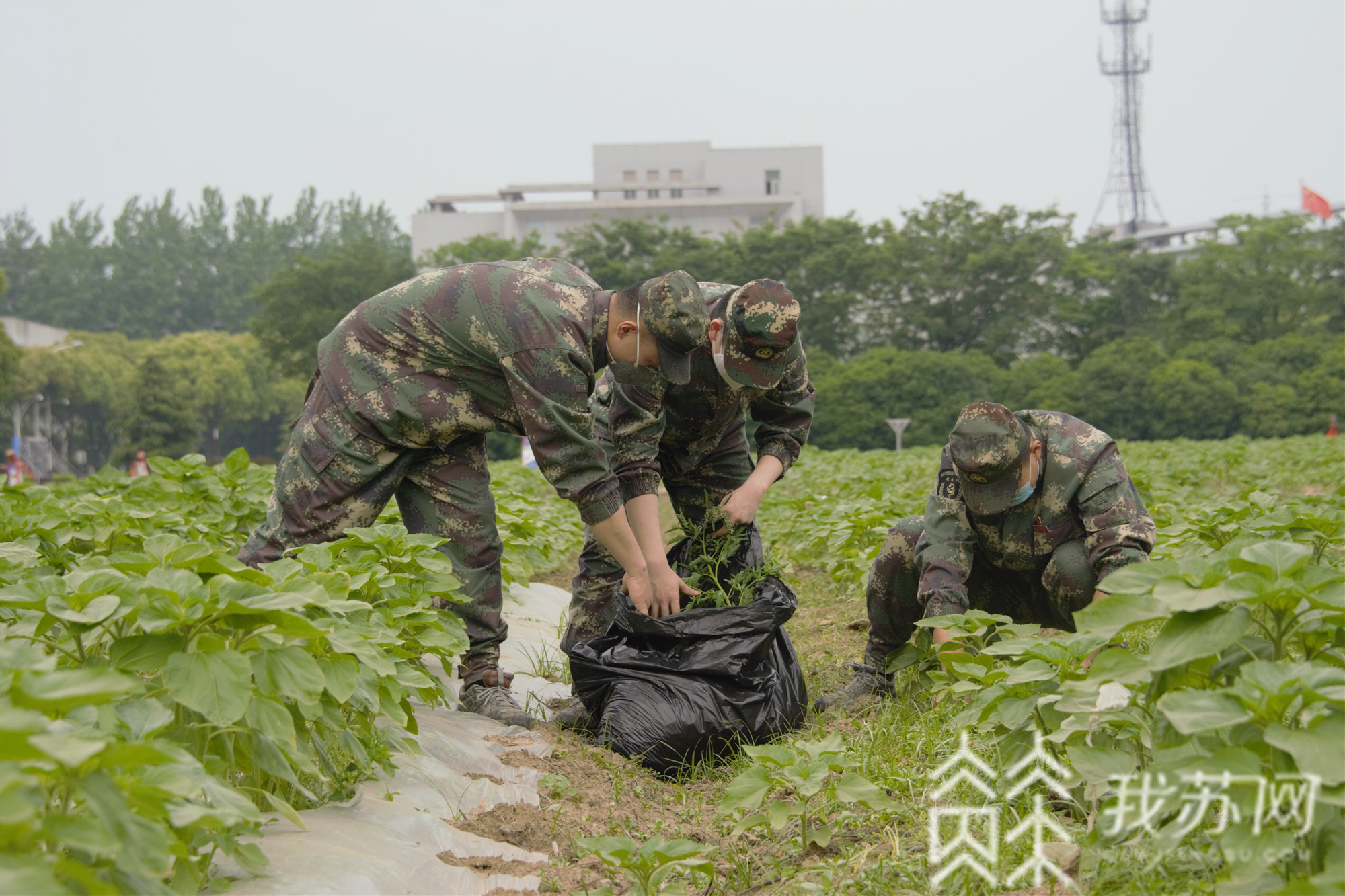 劳动教育■高职院校的劳动教育与职业教育如何相融合？来看这个研讨会擦出了什么火花