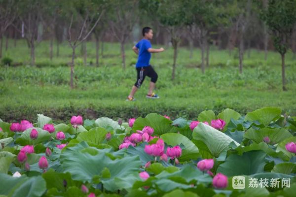 蒲场,荷花浜,钱家宅,钱家桥,陶家坝常福街道福圩村丁薛宅基,钱家宅基