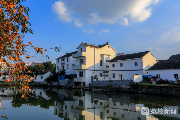 宽敞干净的柏油路村河蜿蜒的石驳岸,独具特色的休闲公园,四季常青