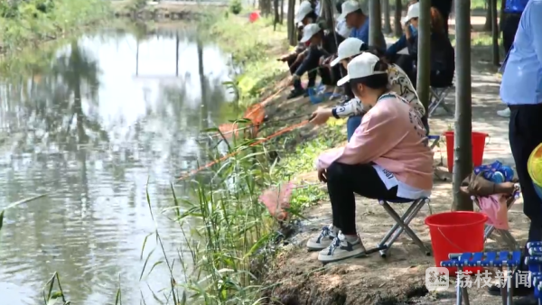 开云体育 开云官网灵龙水乡品湖鲜 淮杂故里享非遗(图3)