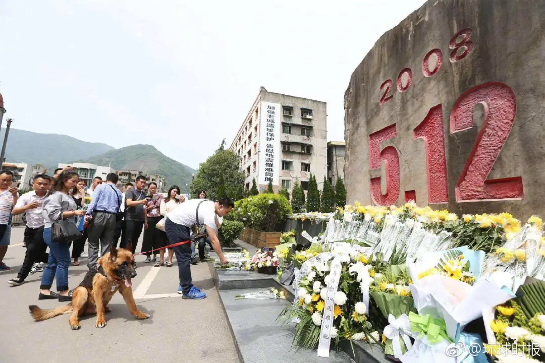 ： 5月12日上午10：00直播 退役消防员沈鹏“重见”好兄弟搜救犬“沈虎” 汶川地震12年