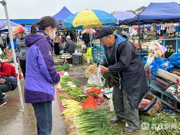 乐鱼(中国)leyu体育官方网站常州时令蔬菜陆续上市 开启冬季尝鲜模式(图4)