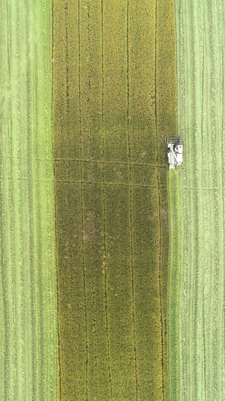 DJI_0389.jpg