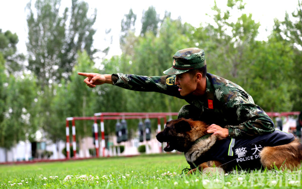 荔枝军事:训导员和军犬的特殊"战友情"