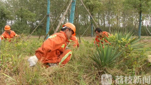 干旱威胁绿化苗木养护工人灌溉维护