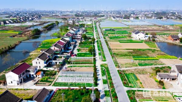 荷花浜,钱家宅,钱家桥,陶家坝常福街道福圩村丁薛宅基,钱家宅基,许家