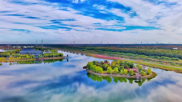 小洋口旅游度假区栟茶古镇景区向广大游客发出春之约