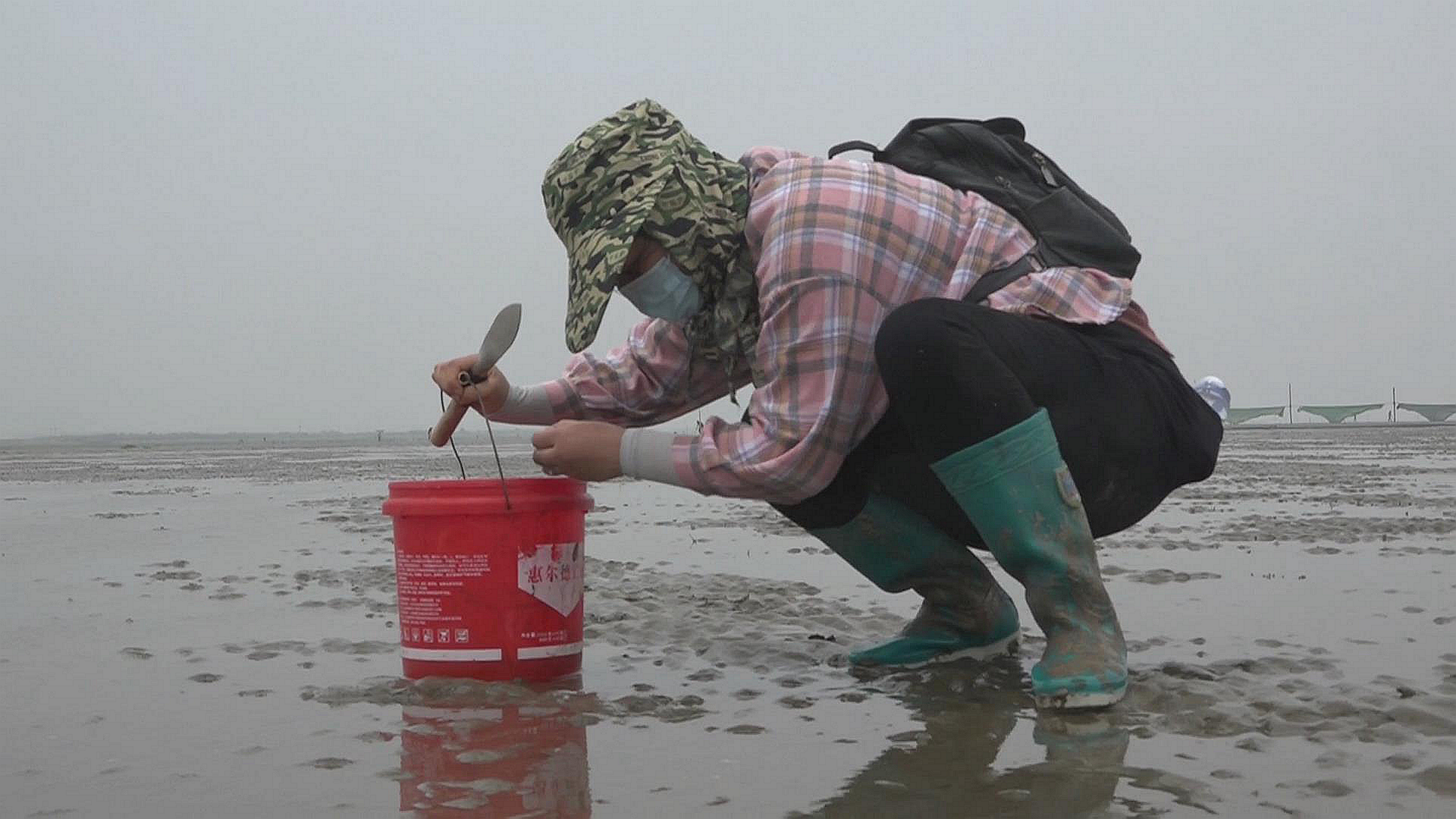 收获满满射阳沿海滩涂成市民赶海网红打卡地