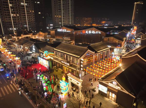 龙腾扶海奇豫如东我县举办首届新春豫园灯会亮灯仪式