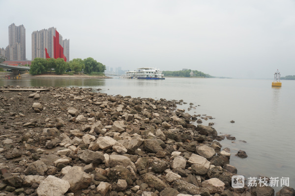 大片江滩裸露长江南京段汛期喊渴