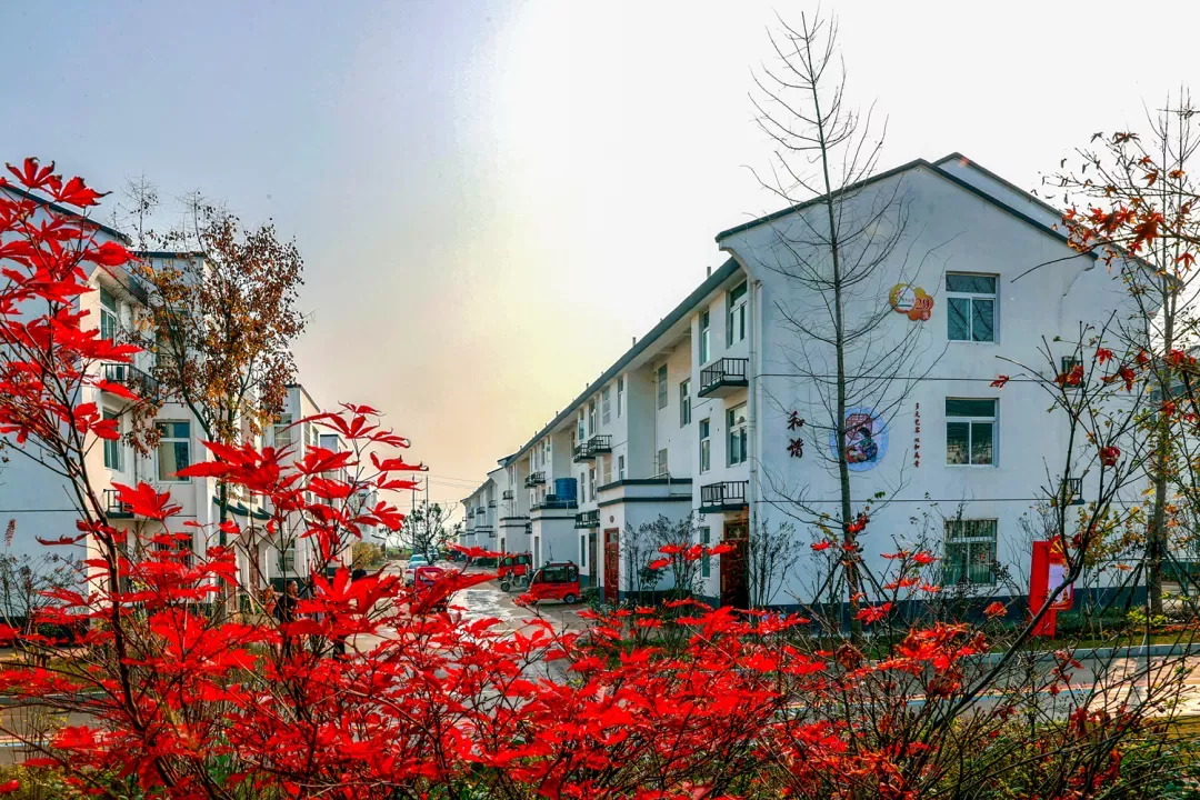 在师寨镇小韩村,不仅村内的环境美,百姓大舞台,村卫生室,村综合服务