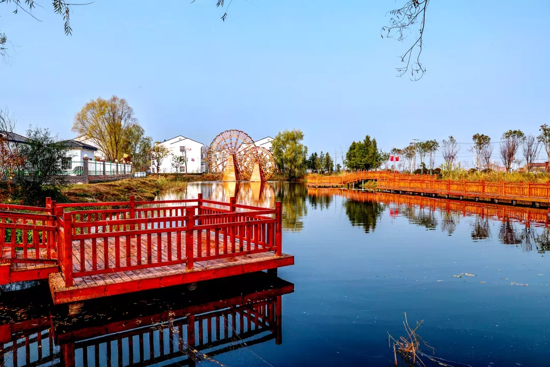 江苏丰县小韩村的幸福密码