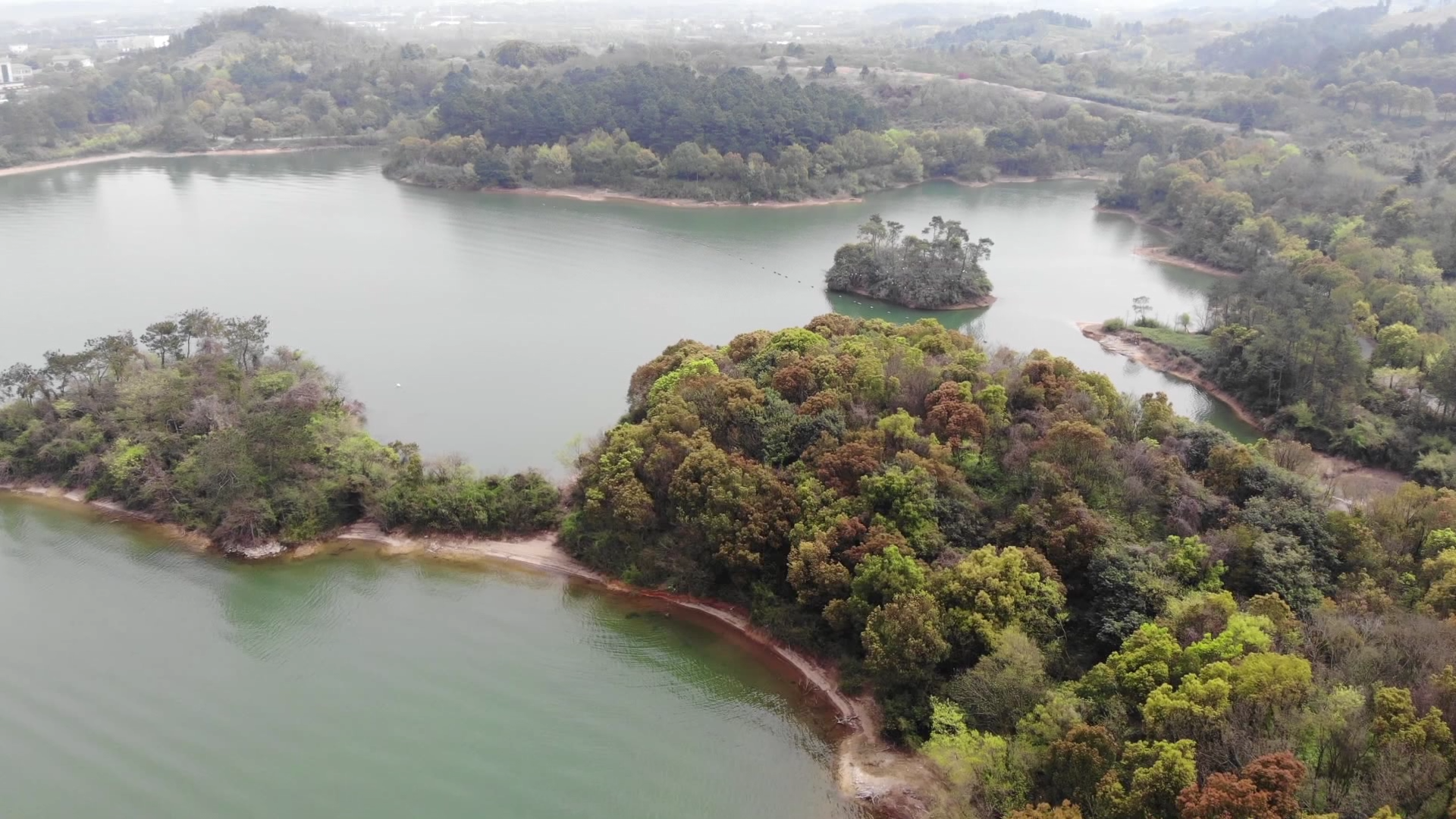 天目湖天目湖鸟岛图片