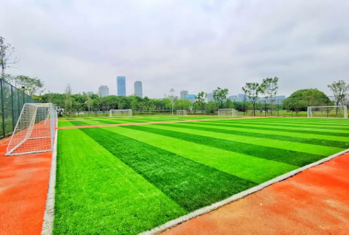 无锡这座全新体育公园亮相:炫!酷!赞!